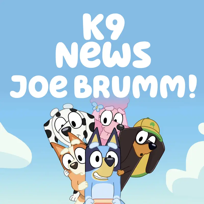 K9 NEWS: Joe Brumm! 