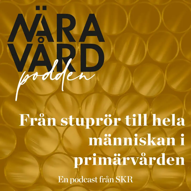 Från stuprör till hela människan i primärvården