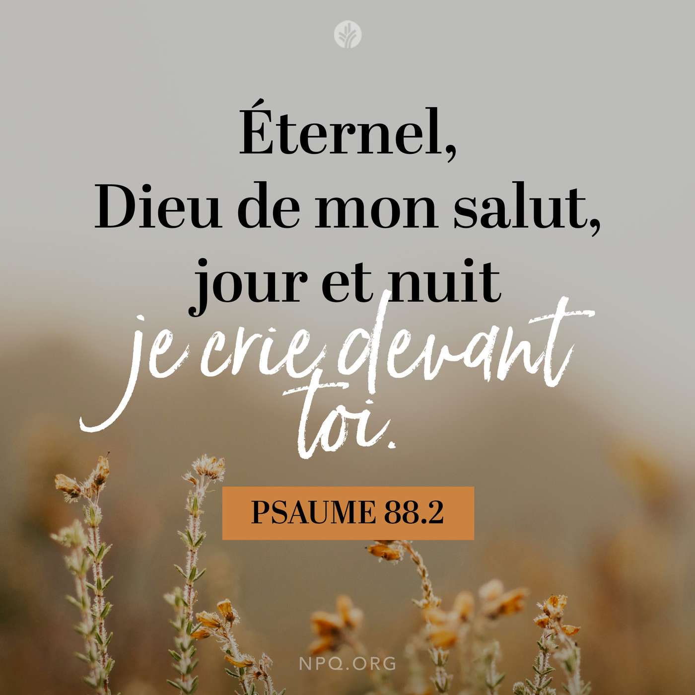 Prière du désespéré