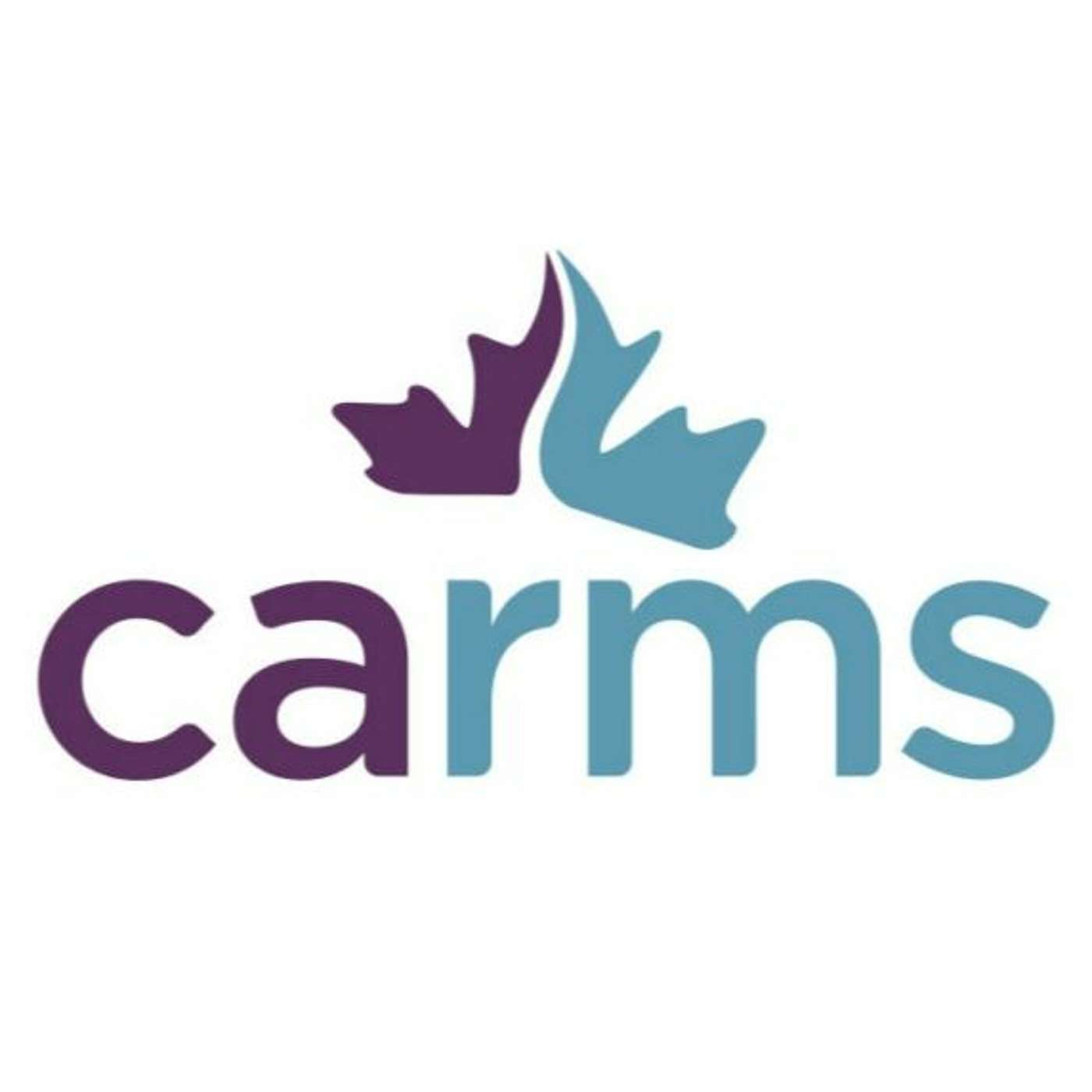Carms General Advice 2023