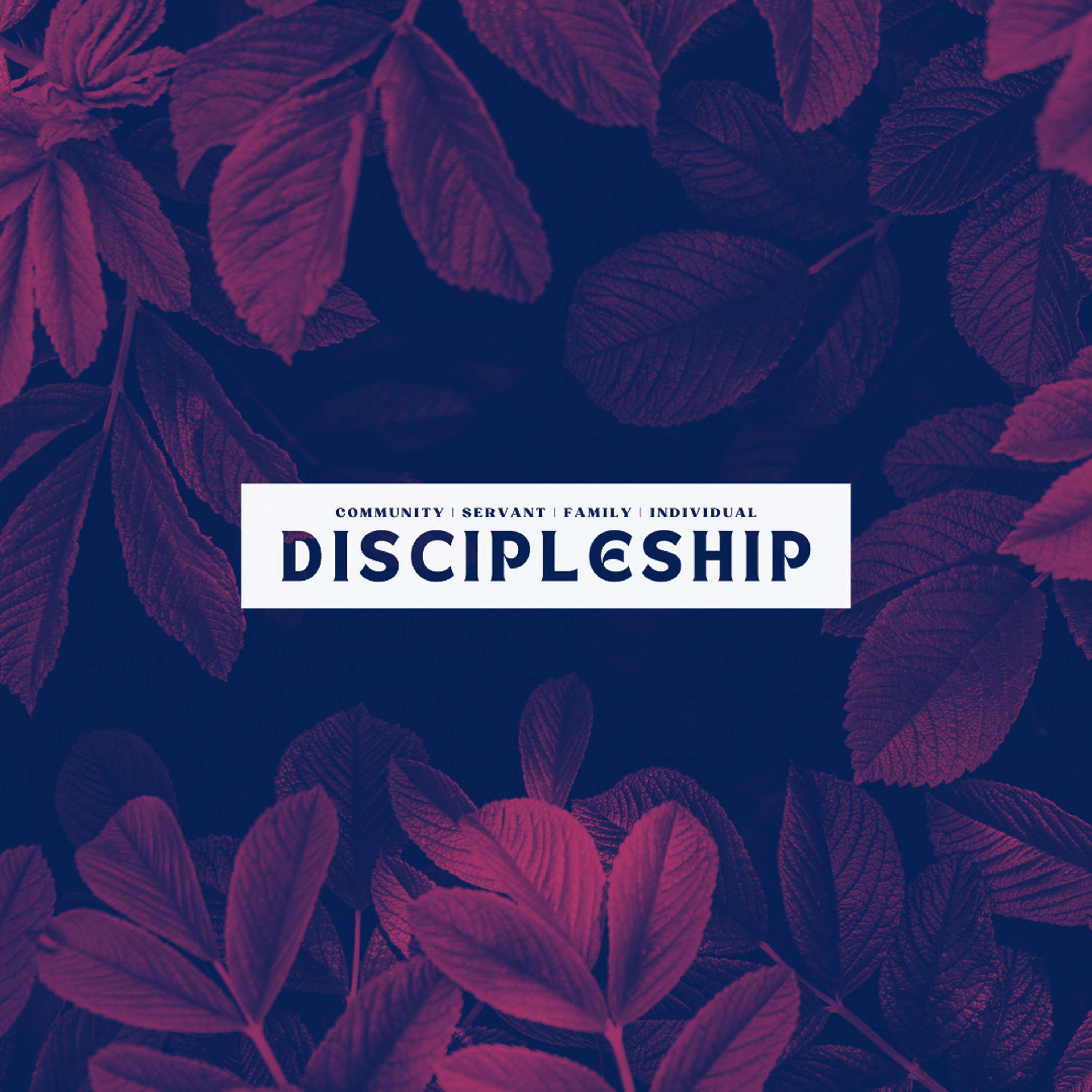 Discipleship Week 3 | Serving