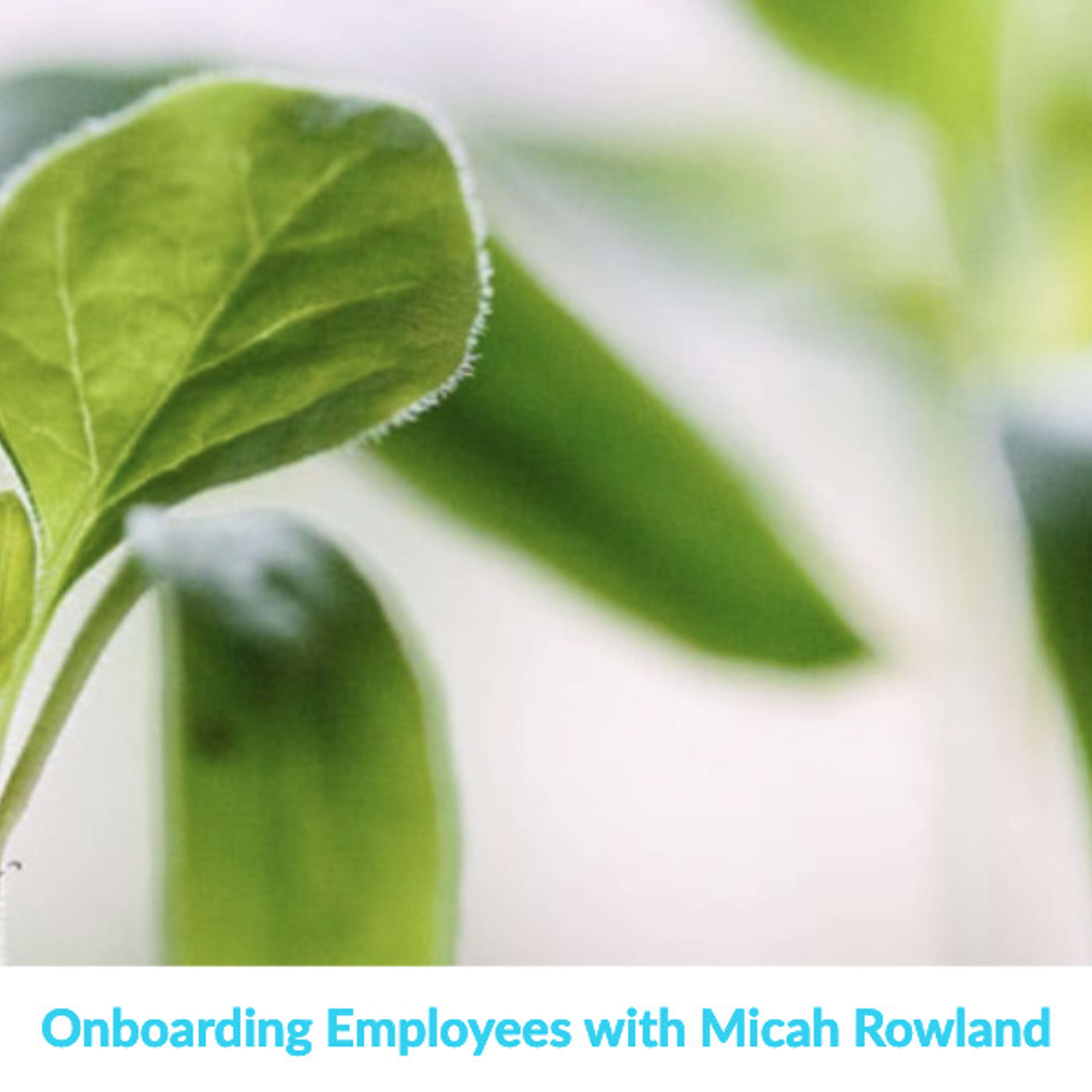 Onboarding Employees with Micah Rowland