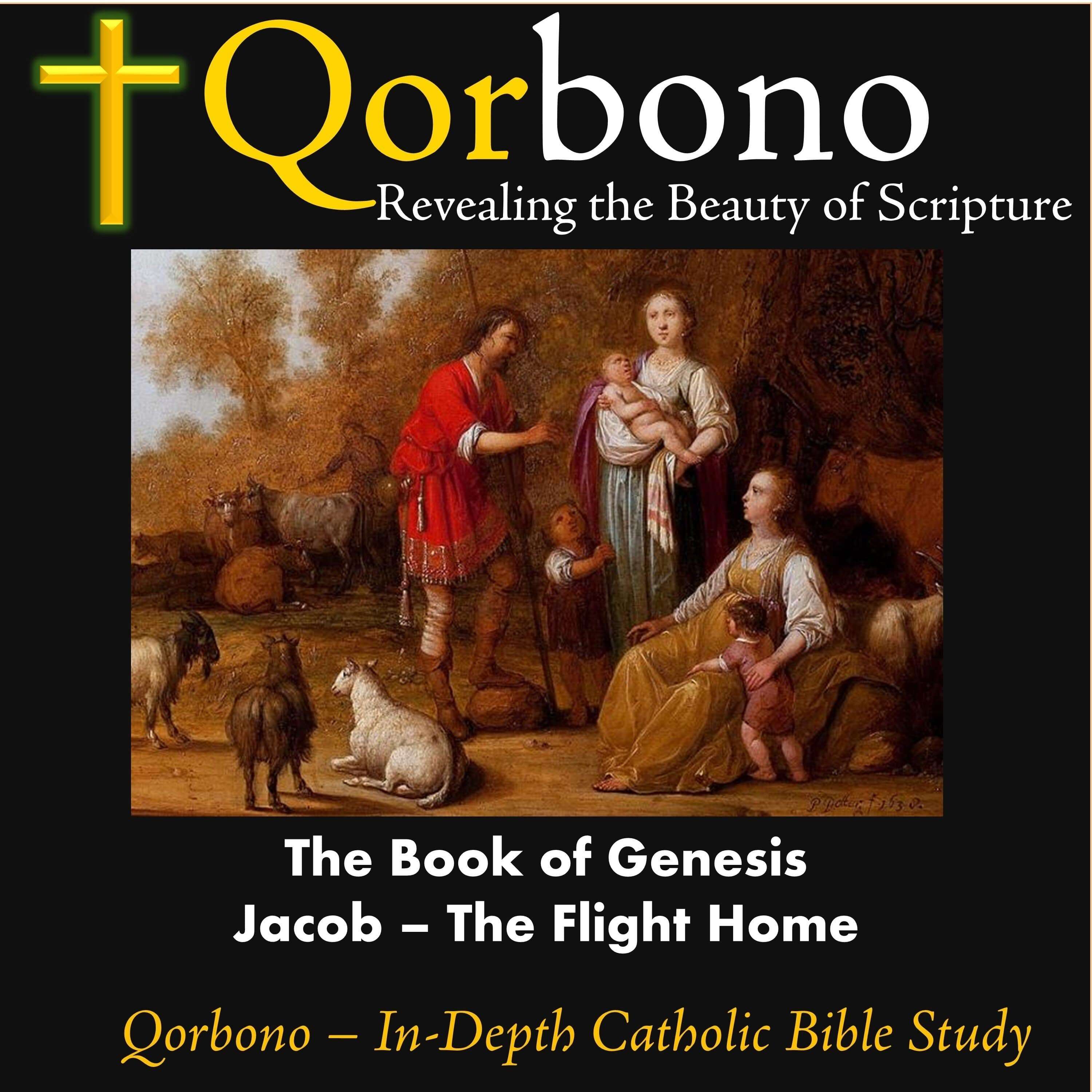 The Book of Genesis