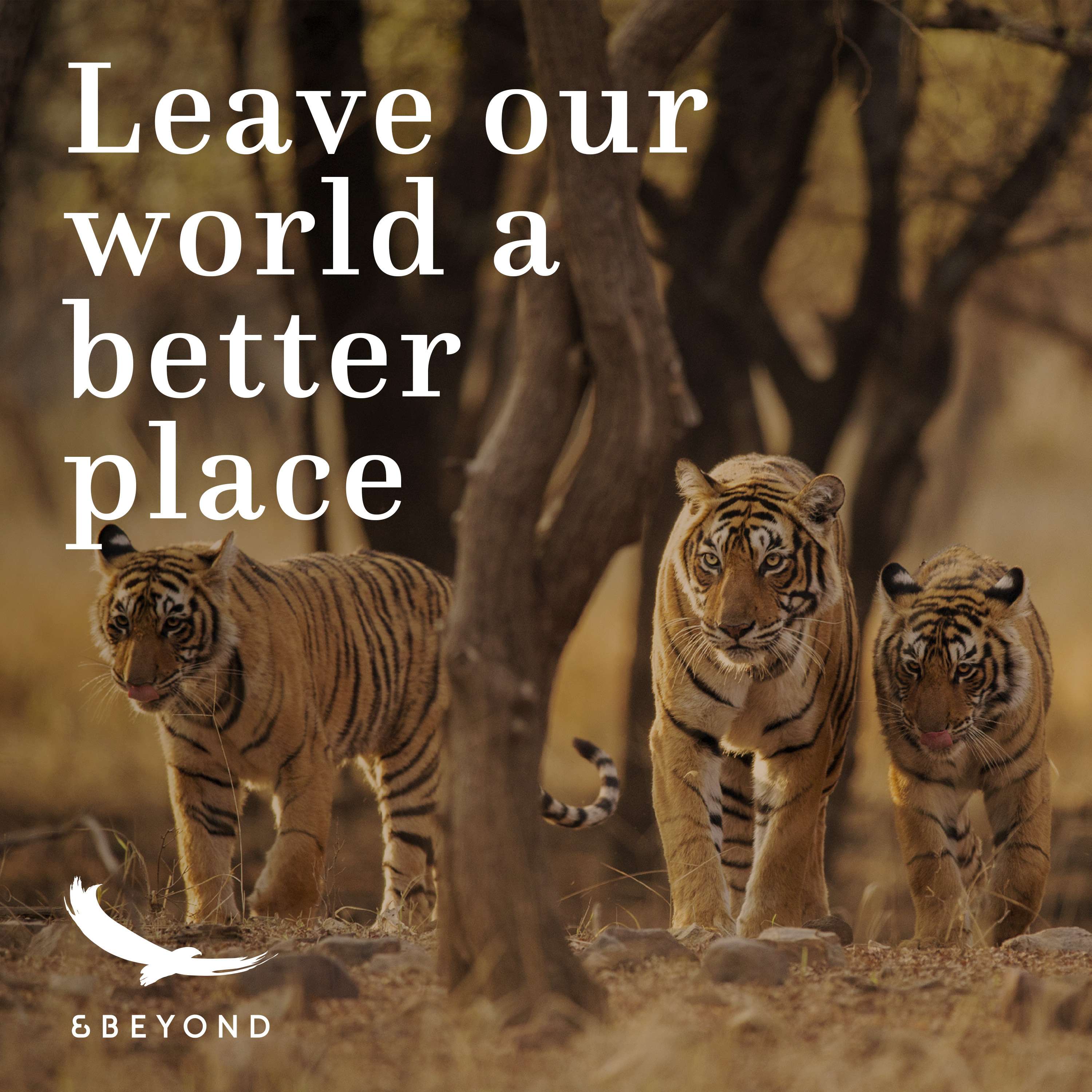 Better World