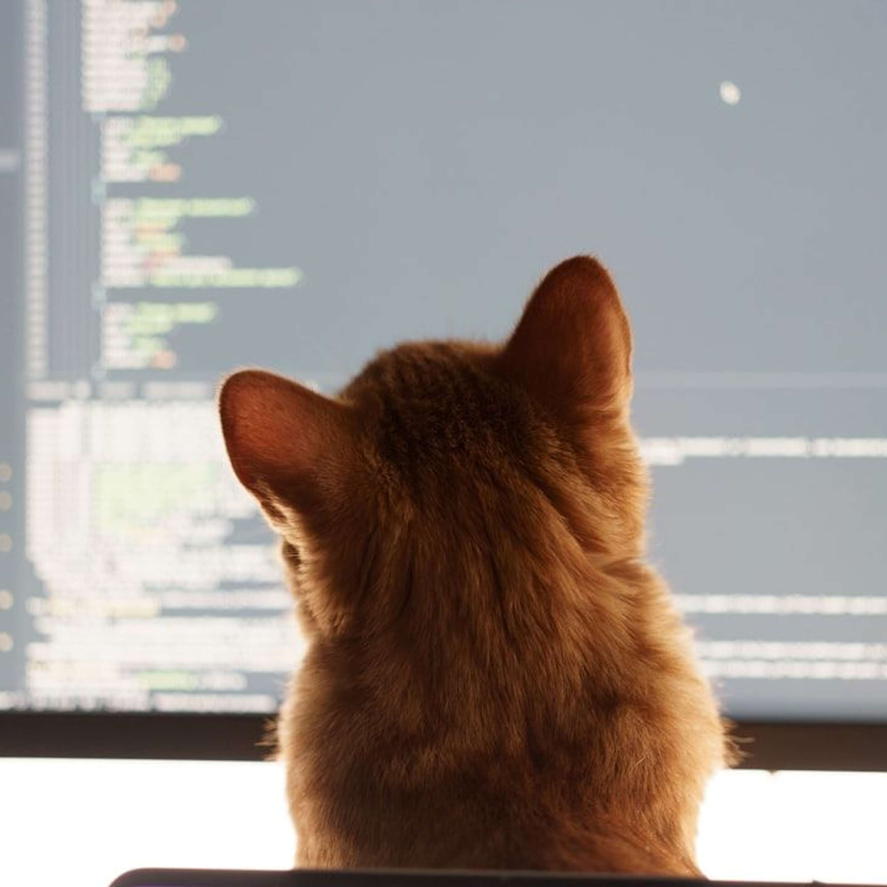 Code Review Culture: Why You Need to Have One