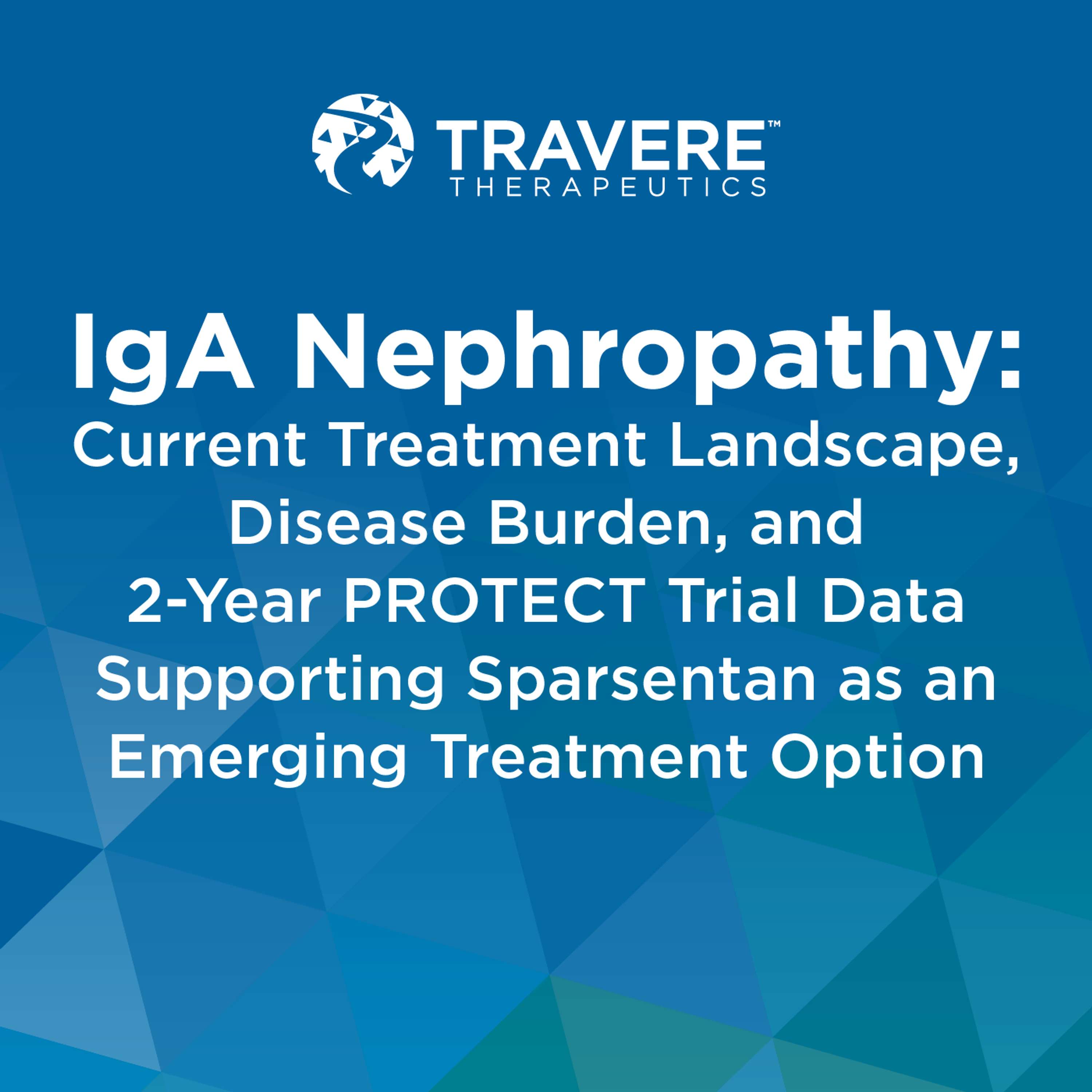 IgA Nephropathy: Current Treatment Landscape, Disease Burden, and 2-Year PROTECT Trial Data Supporting Sparsentan as an Emerging Treatment Option