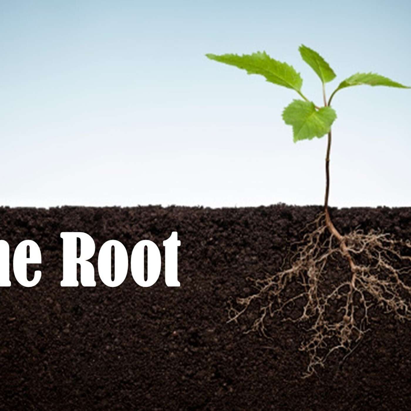 One Way or Another: The Root