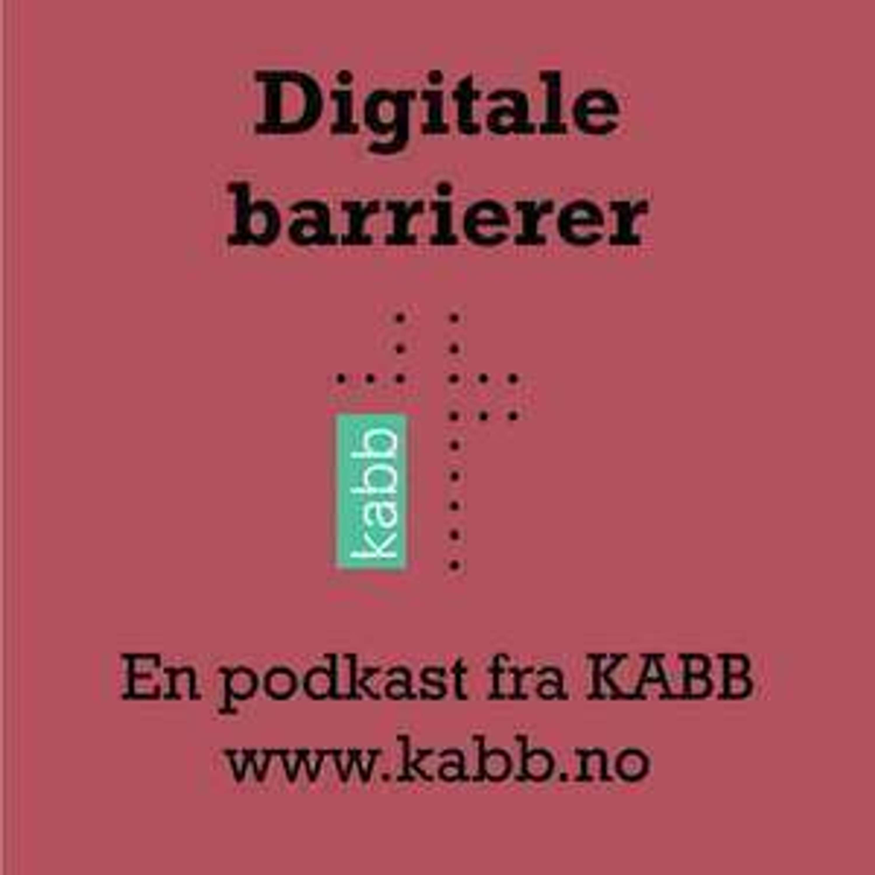 Digitale barrierer del 4