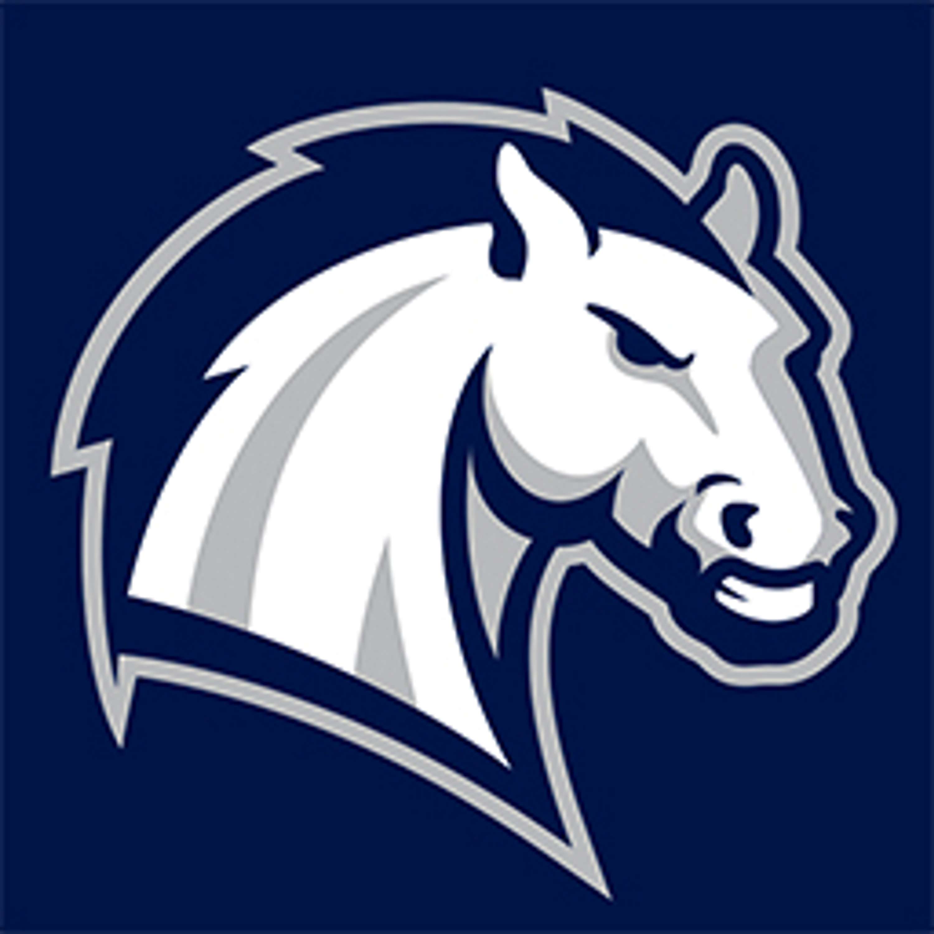 Men's Basketball: Hillsdale vs. Malone, 03/07/25 - podcast episode cover