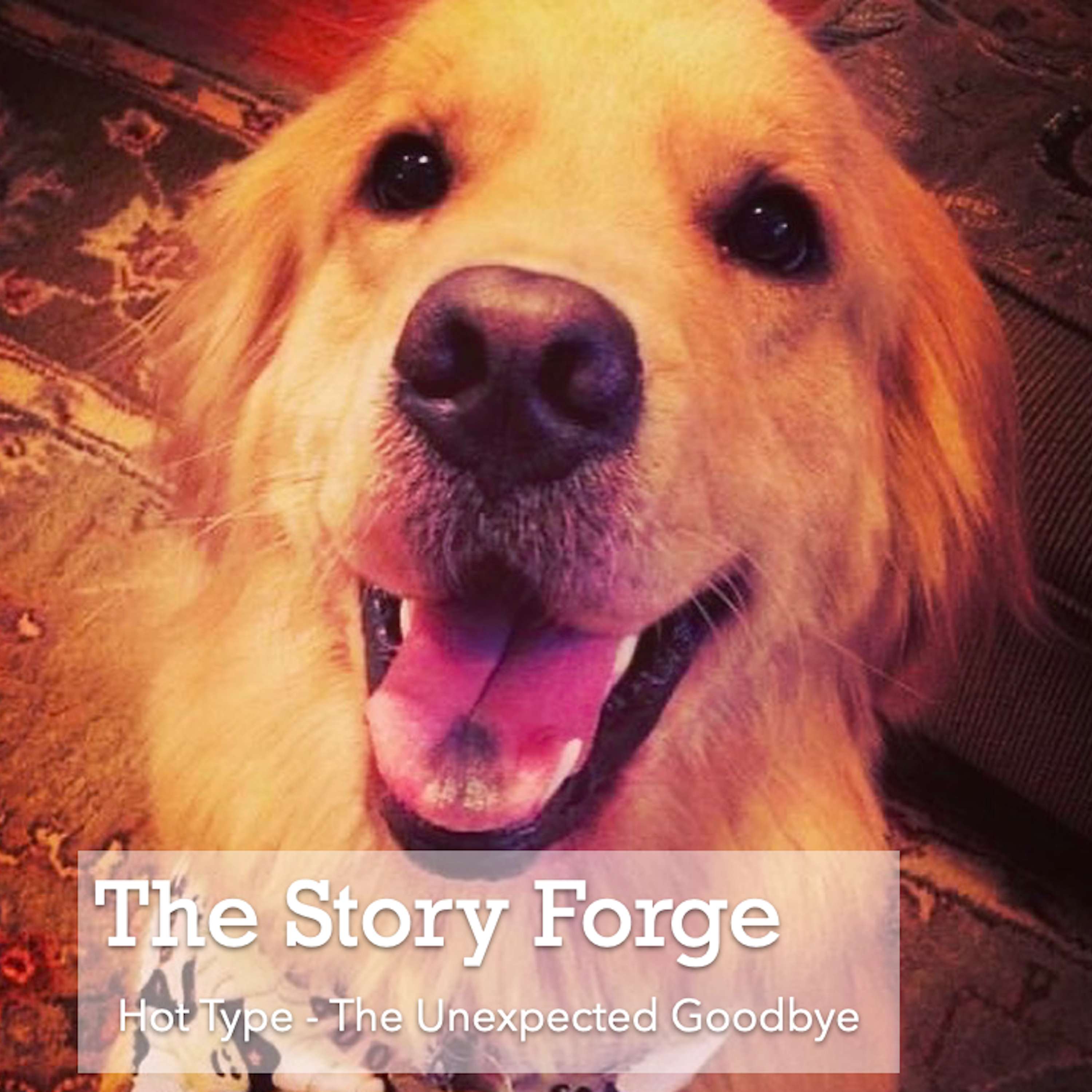 The Story Forge