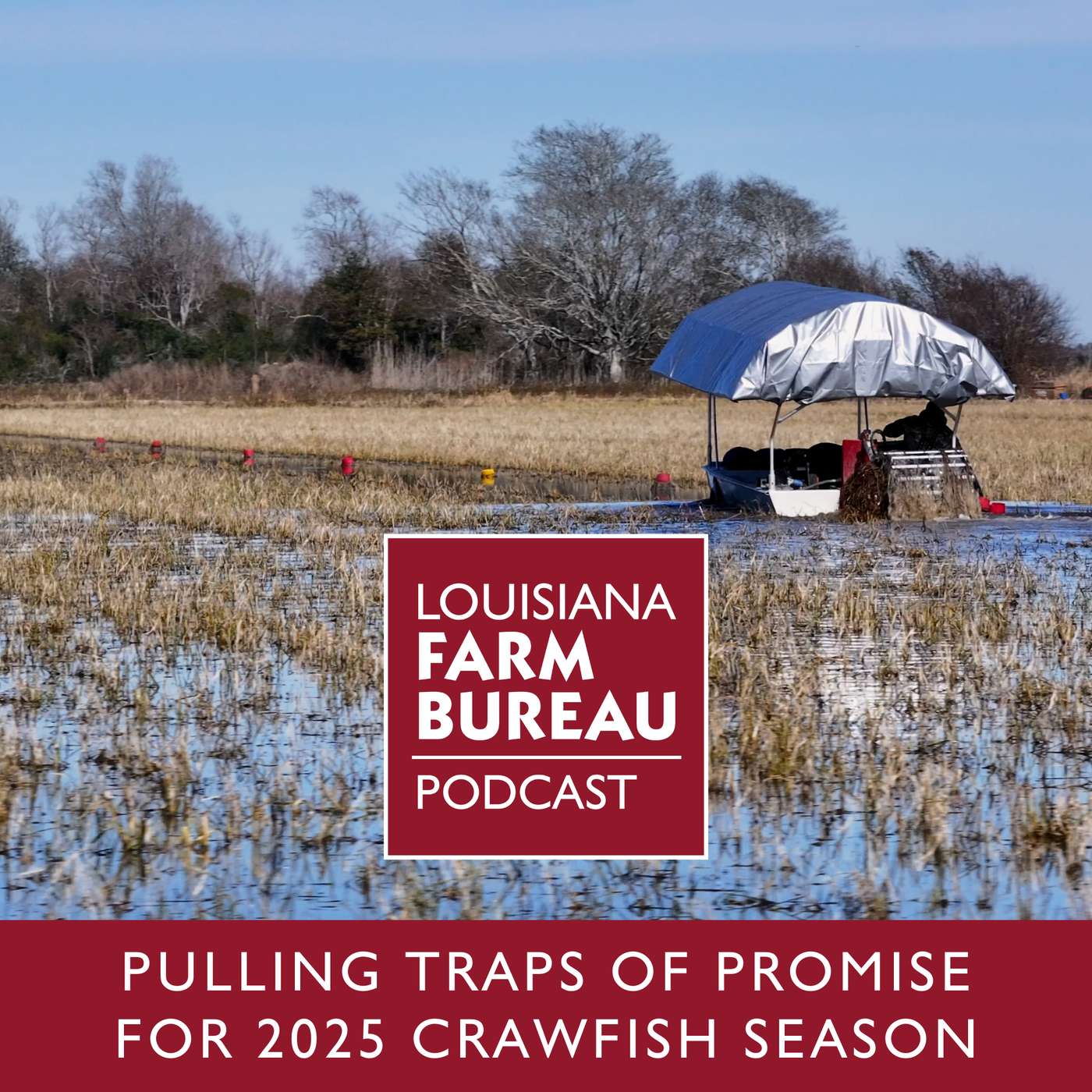 Pulling Traps of Promise for 2025 Crawfish Season