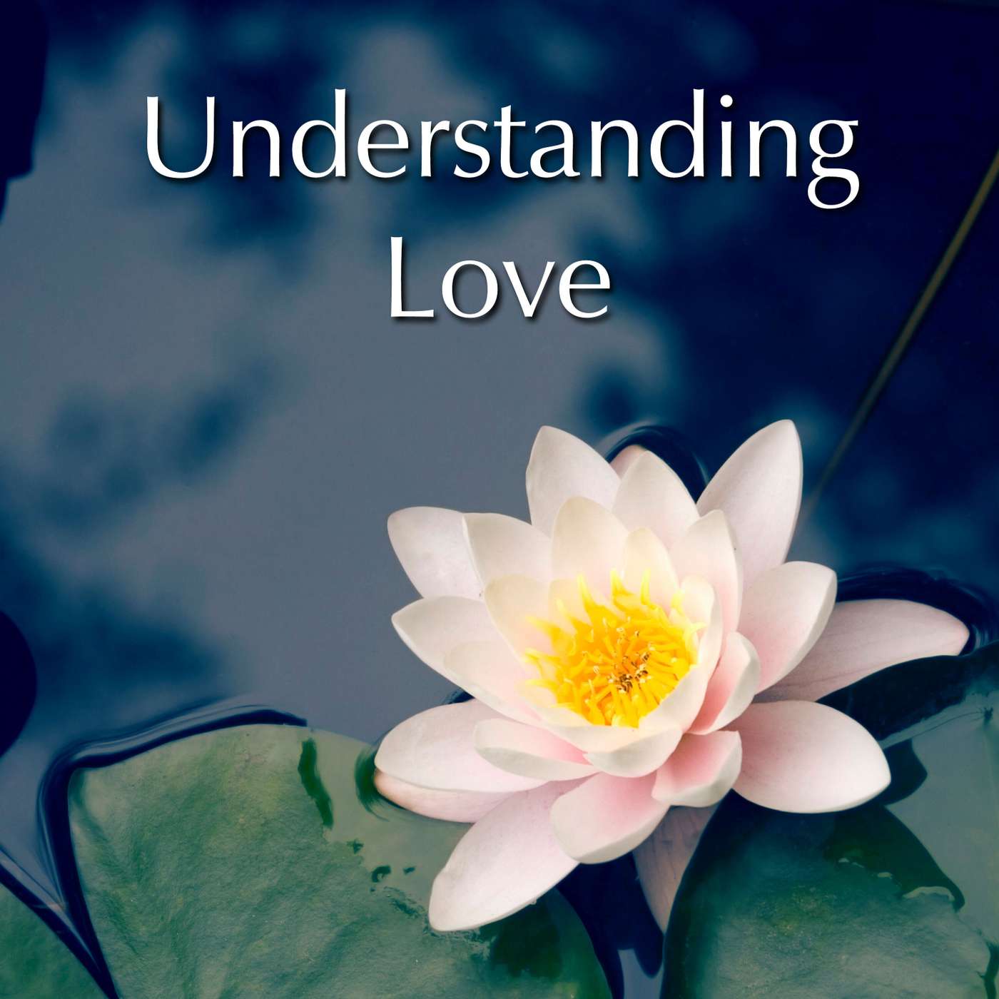 Understanding Love
