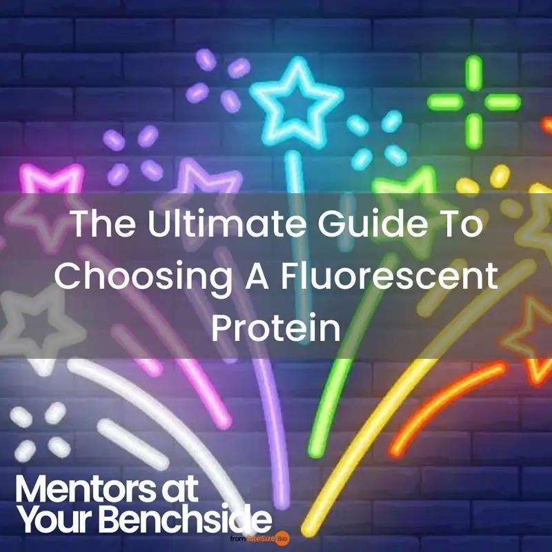 The Ultimate Guide to Choosing a Fluorescent Protein