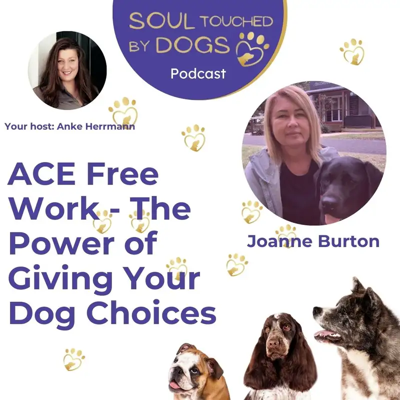 Joanne Burton - ACE Free Work - The Power of Giving Your Dog Choices