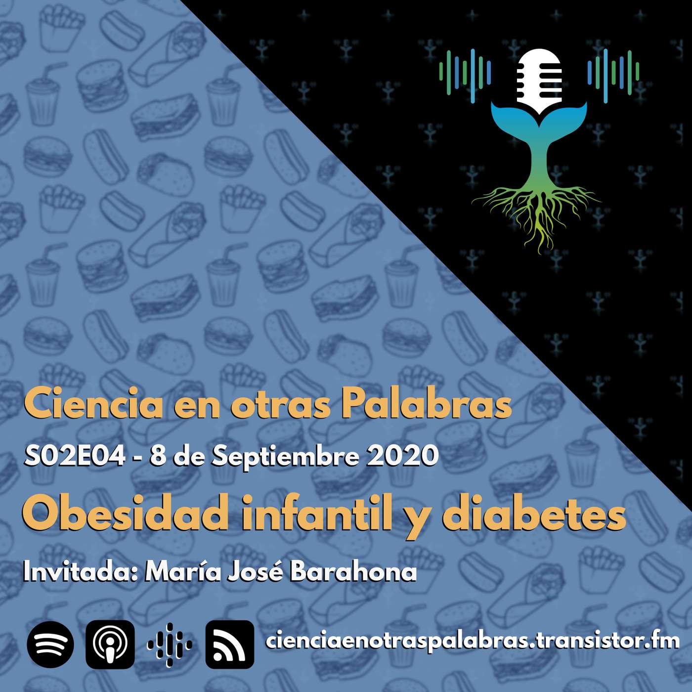 S02E04 - Obesidad infantil y diabetes