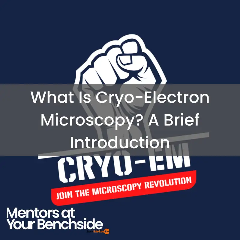What Is Cryo-Electron Microscopy? A Brief Introduction