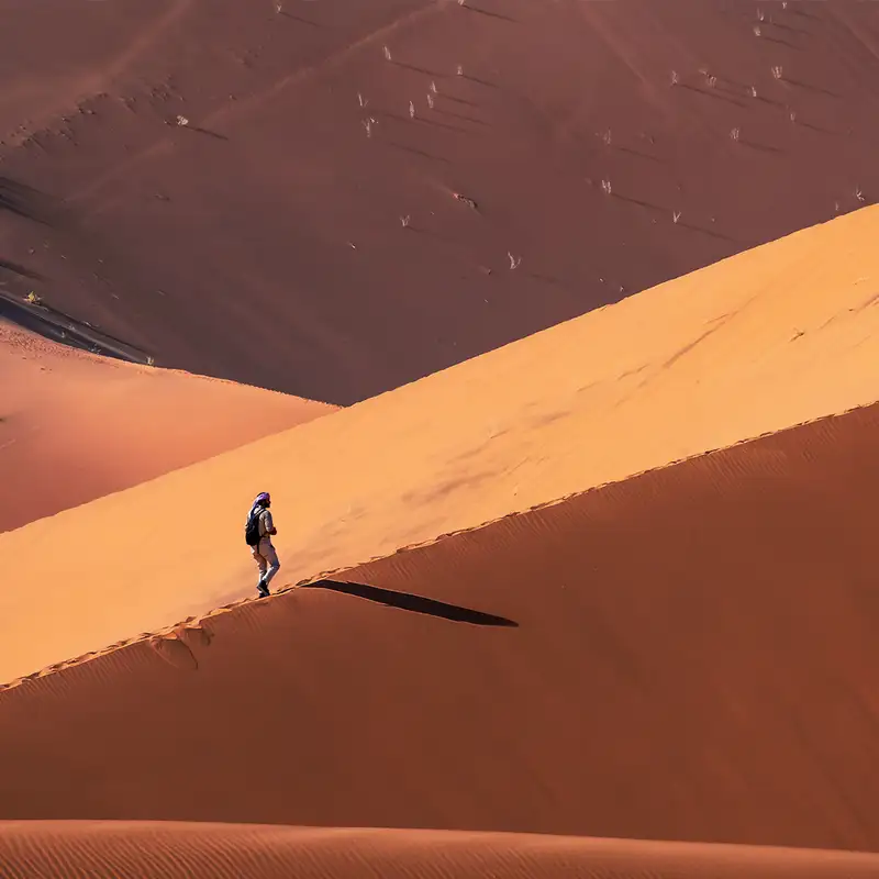 Are You Wandering?