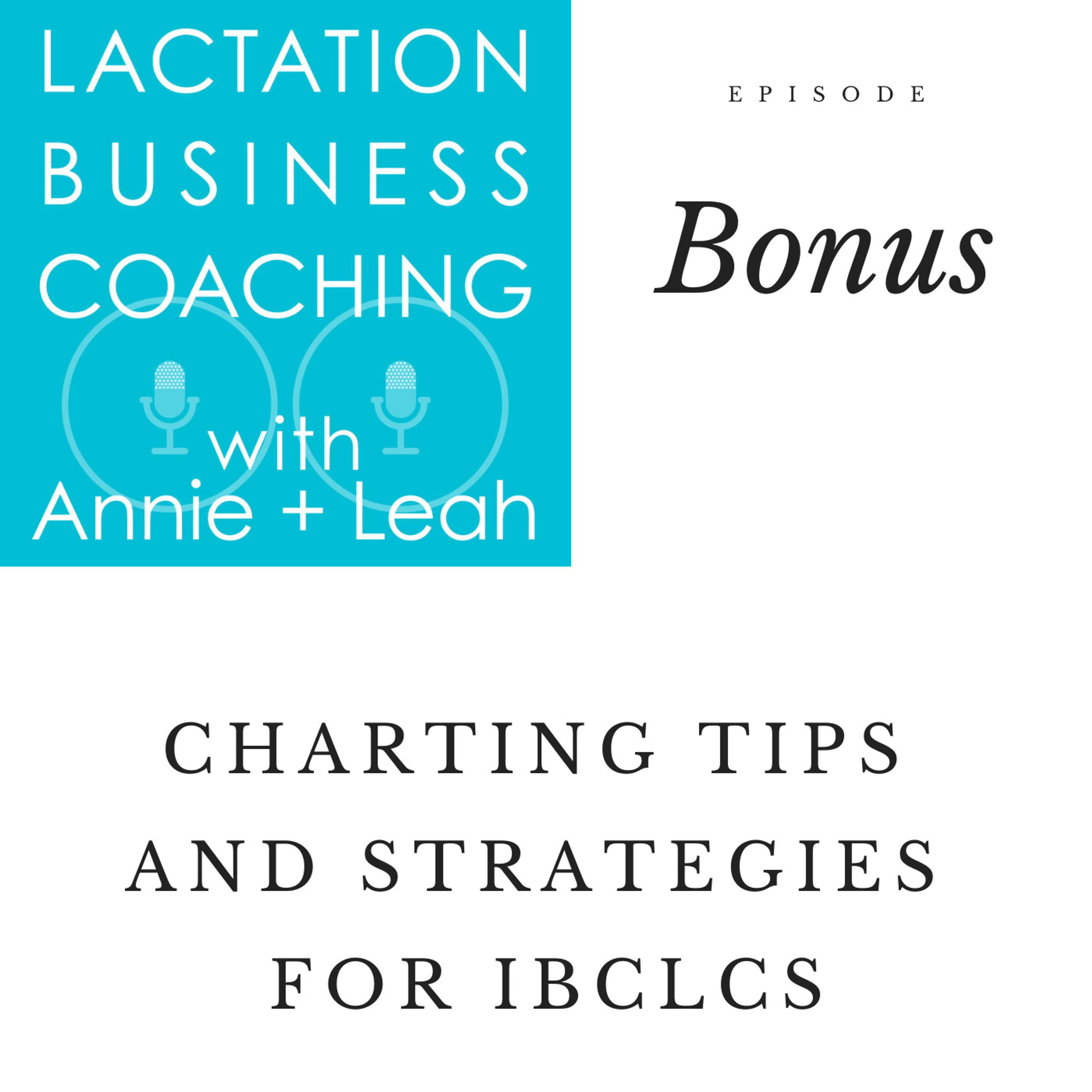 Charting Tips and Strategies for IBCLCs [REBROADCAST]
