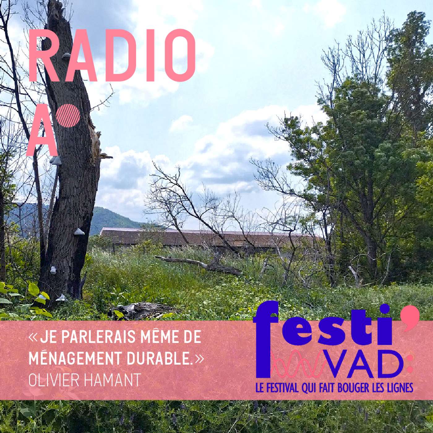 𝗙𝗲𝘀𝘁𝗶’𝗩𝗔𝗗 – Podcast n°3 : Robustesse et adaptation, quelle culture constructive dans un monde fluctuant ?