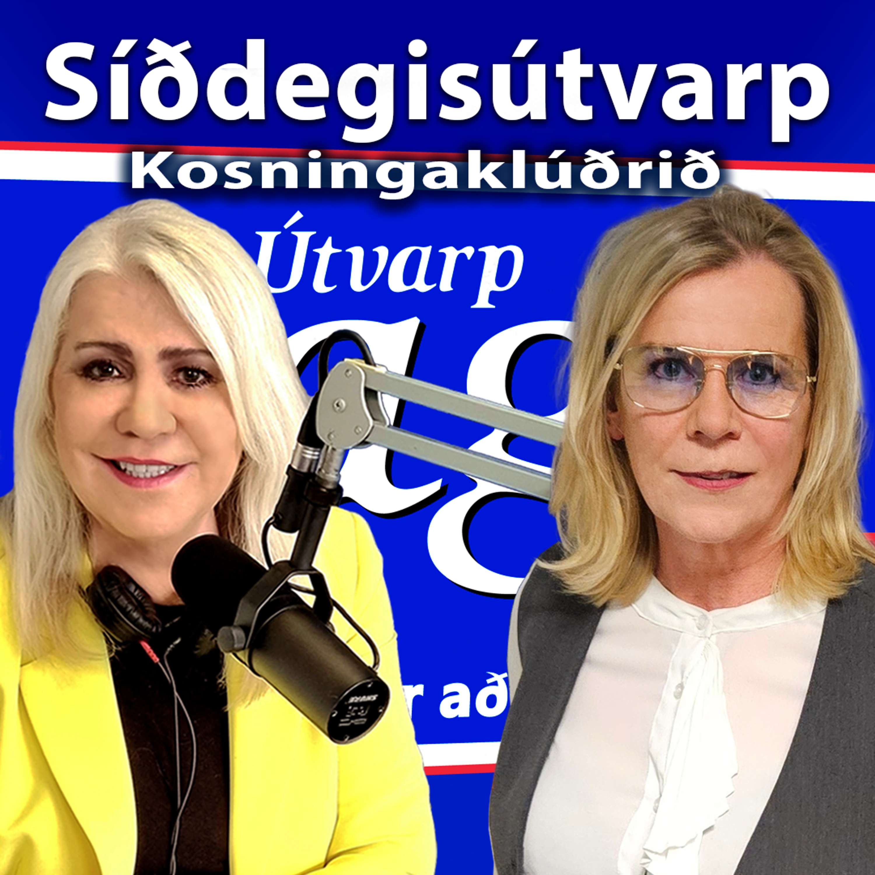 Vigdís Hauksdóttir lögfræðingur um framkvæmd alþingiskosninga og talningu atkvæða