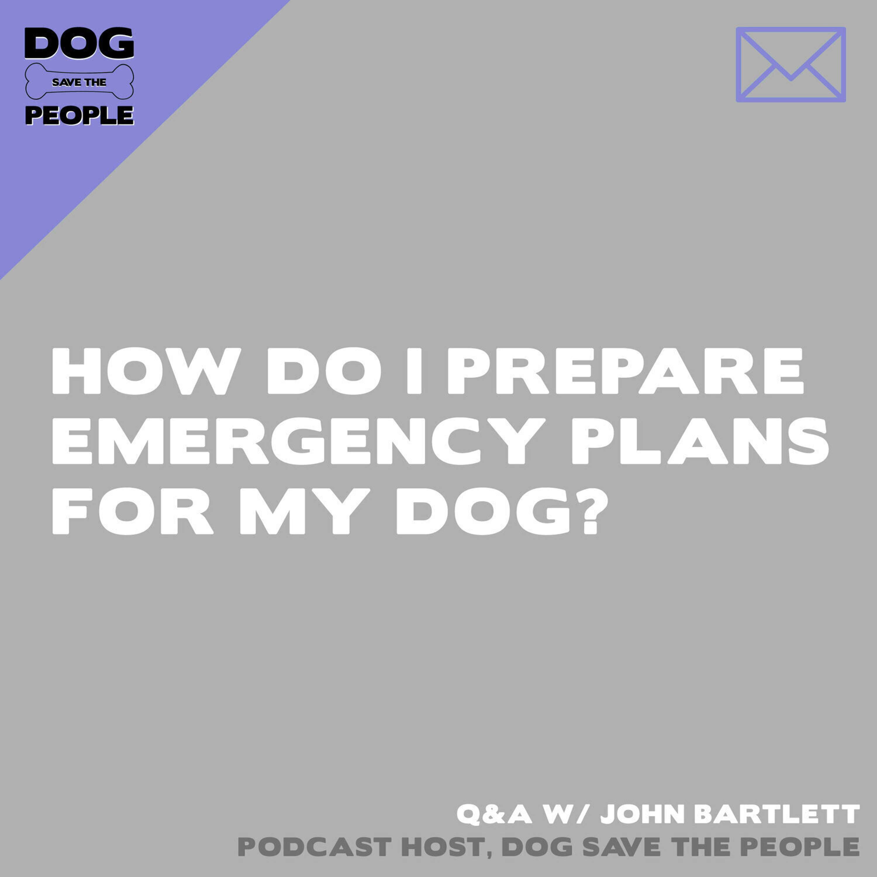 Q&A - How Do I Prepare Emergency Plans For My Dog?