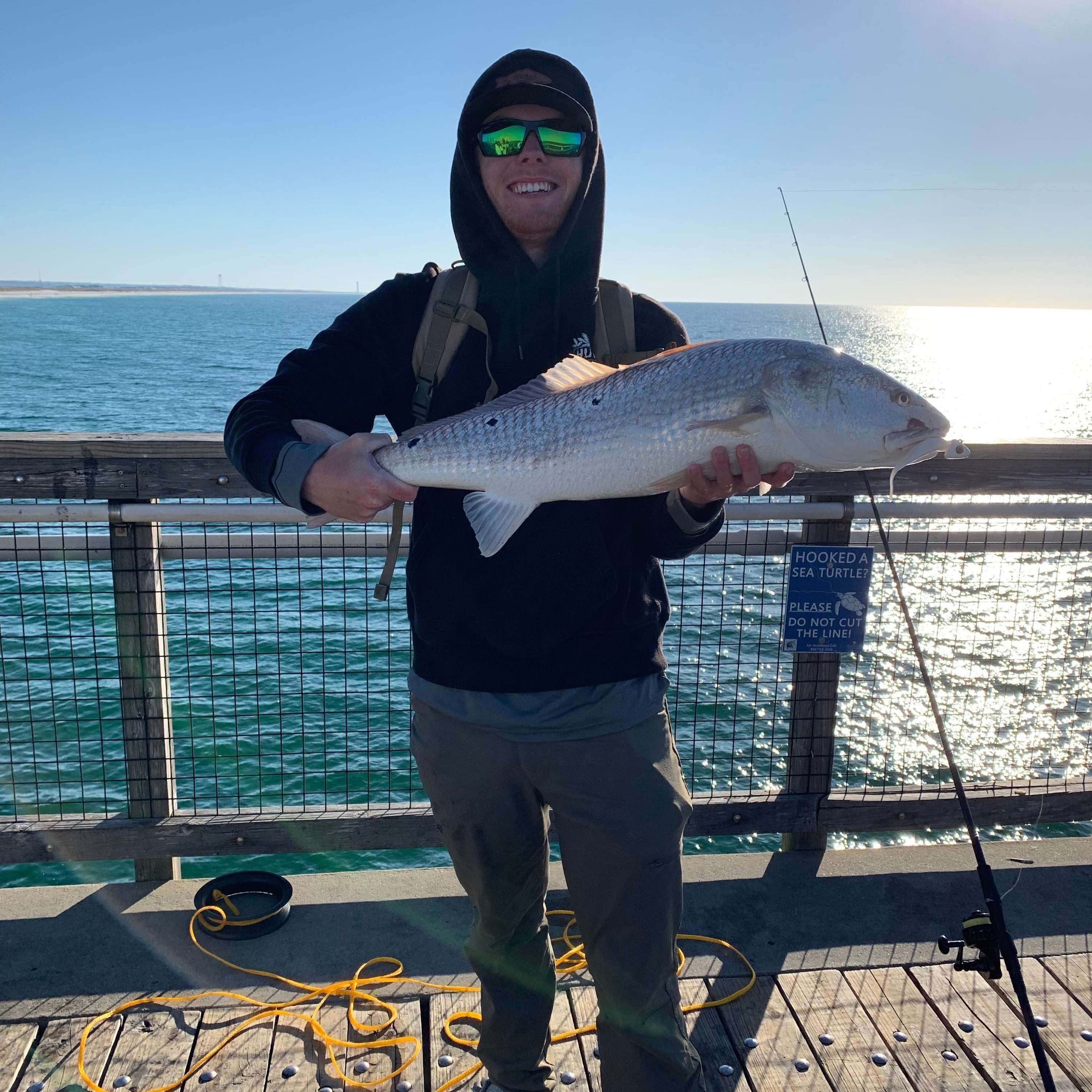 Finding Demo Surf Fishing