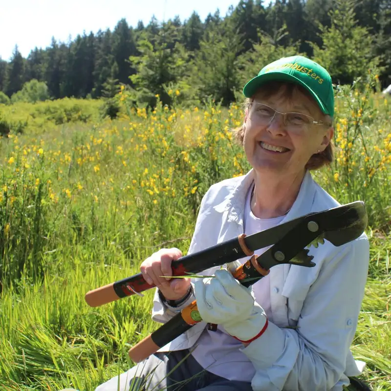 Vancouver Island volunteers battle against invasive Scotch broom