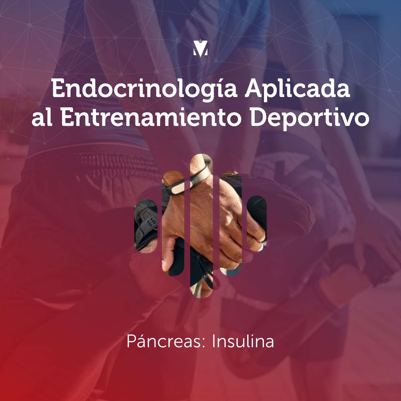 9 - ENDOCRINOLOGÍA APLICADA AL ENTRENAMIENTO DEPORTIVO: Páncreas - Insulina