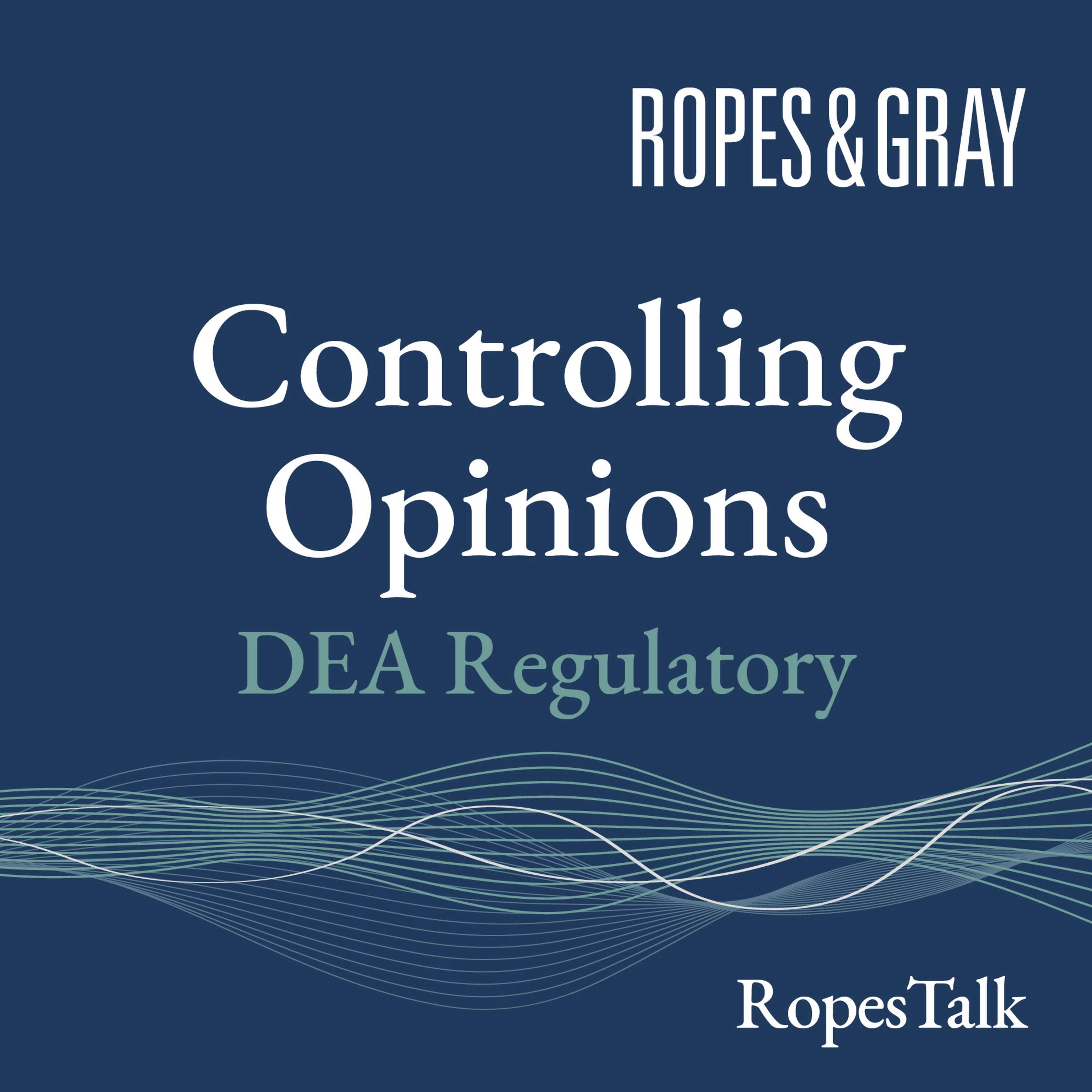 Controlling Opinions