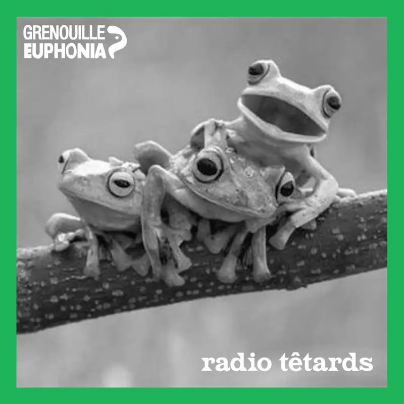 Radio Têtards #3 I Si tu coupes tes spaghettis !