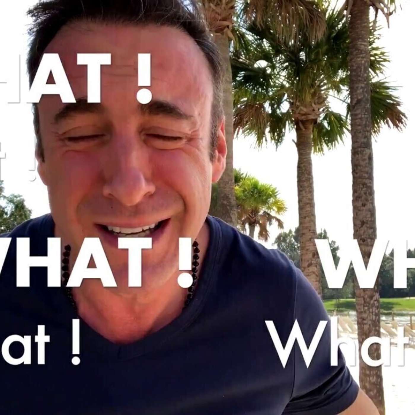 Le Podcast de Franck Nicolas