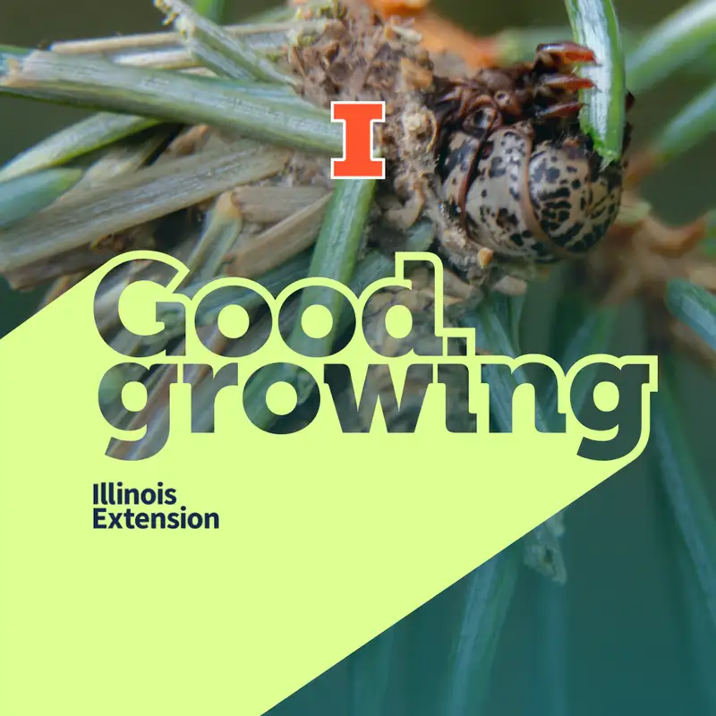 Gardenbite: Managing bagworms at home | #GoodGrowing