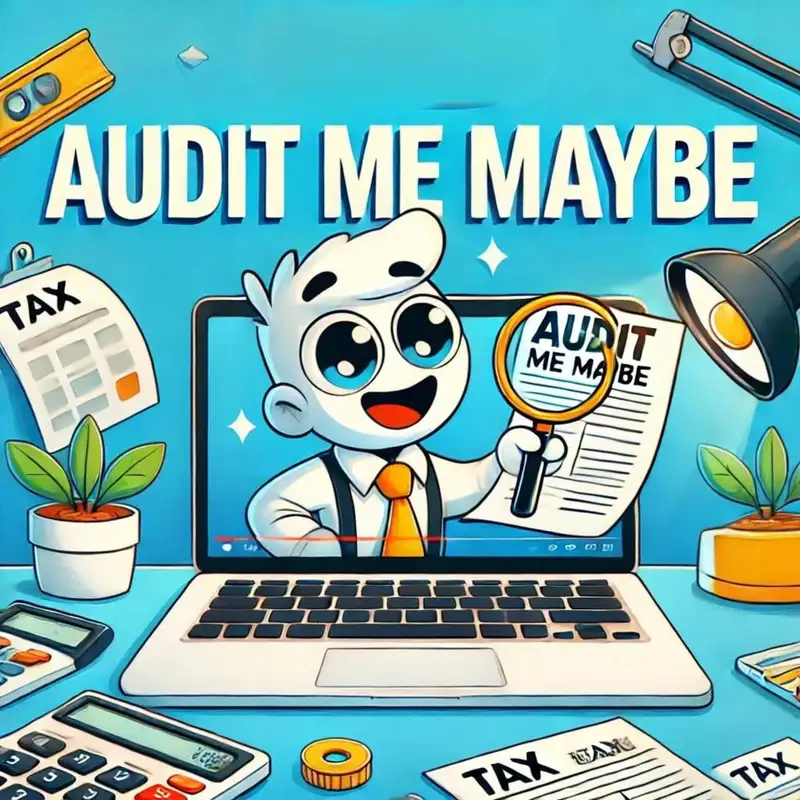 Audit Me Maybe