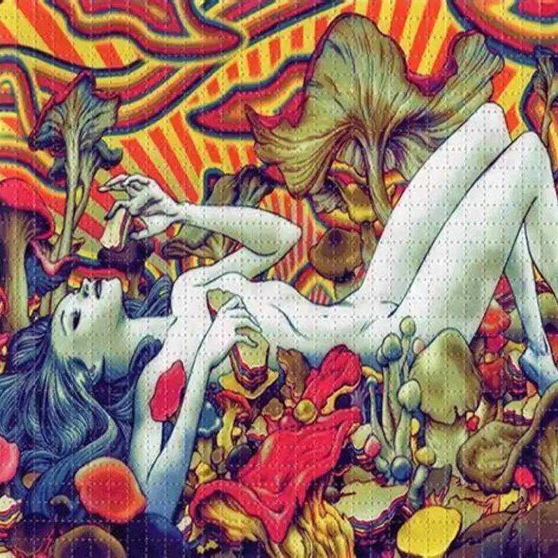 In The Mind of a Divine Being Exists the Human Process