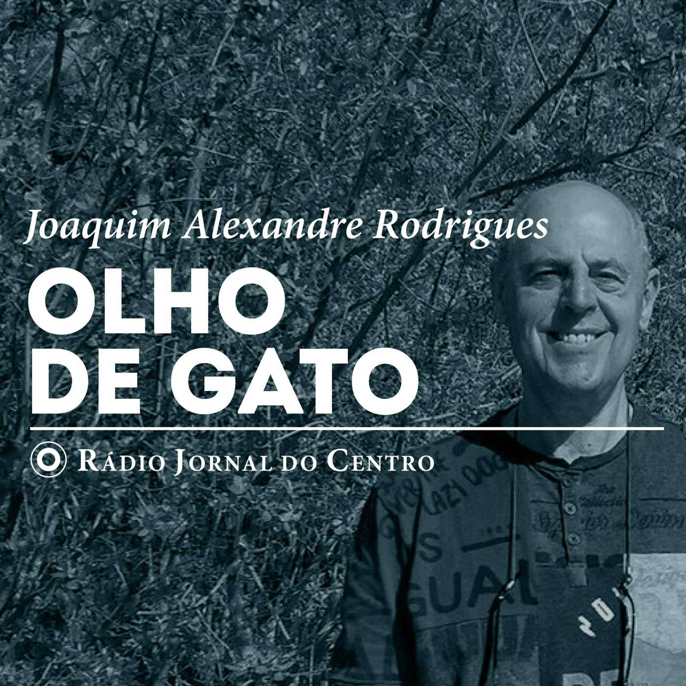 Olho de Gato