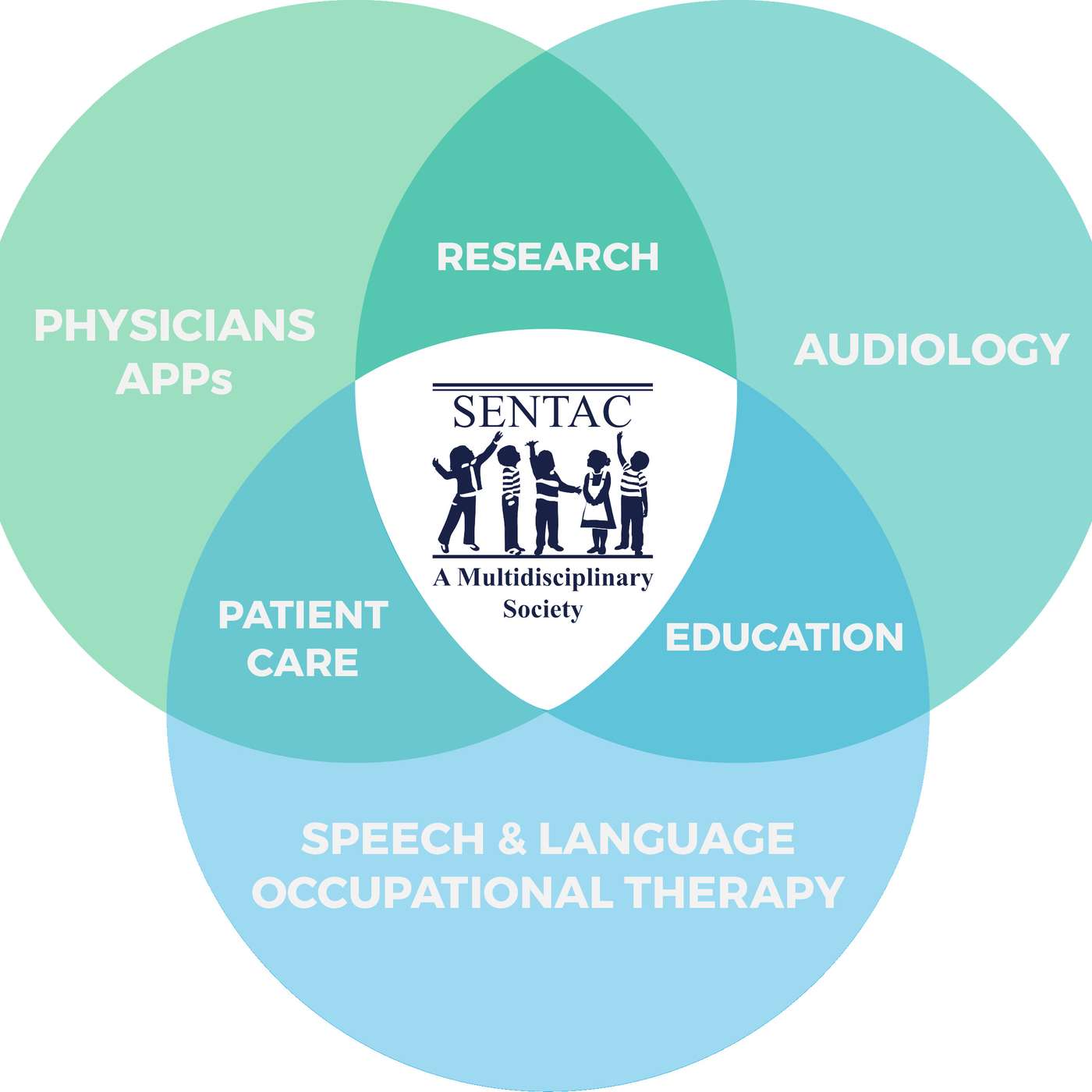 The Team Based Approach to Cochlear Implantation