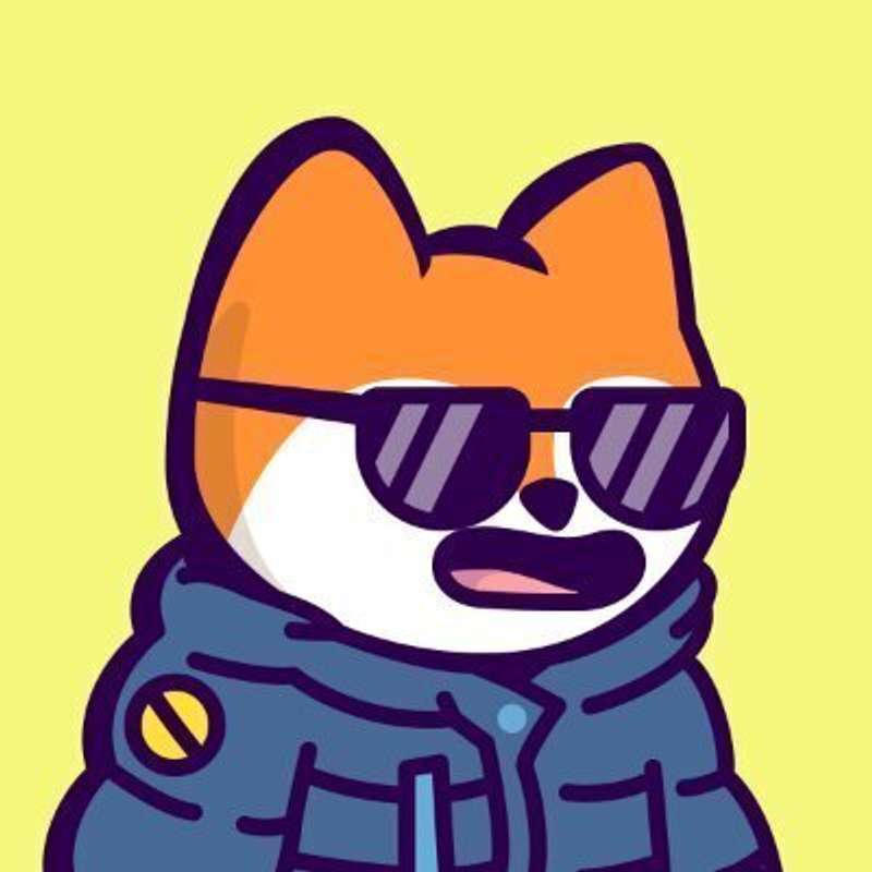 scammo