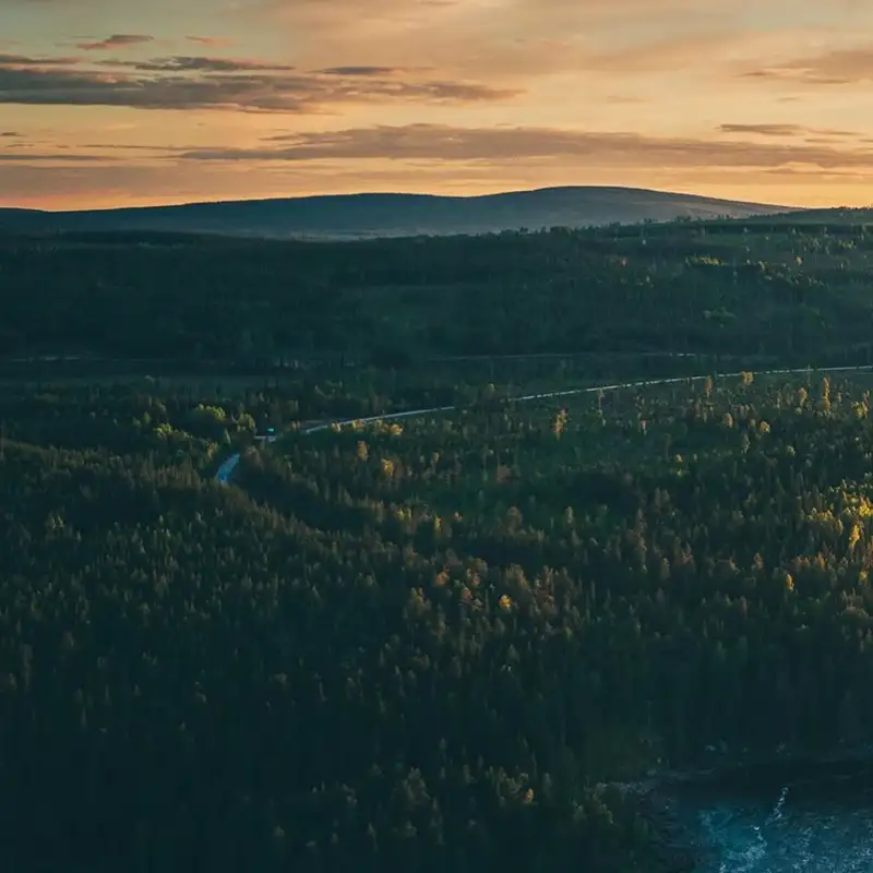 Can the Baltic salmon be saved?