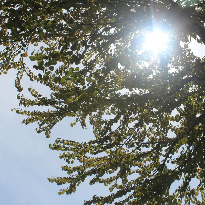 Skin safe and sun smart: Skin Cancer Awareness Month reaches Courtenay