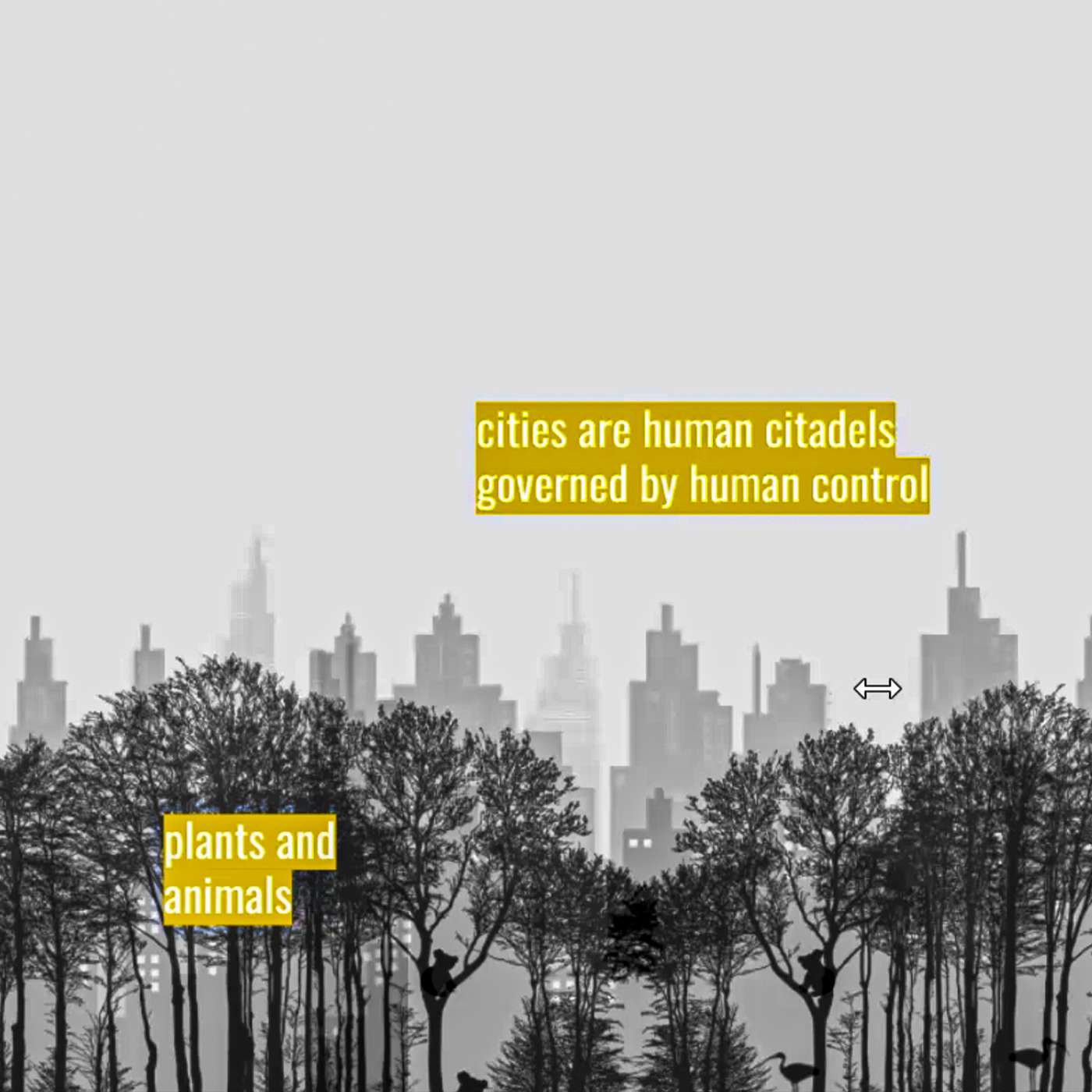 Multispecies Justice: Hira Sheikh and Marcus Foth