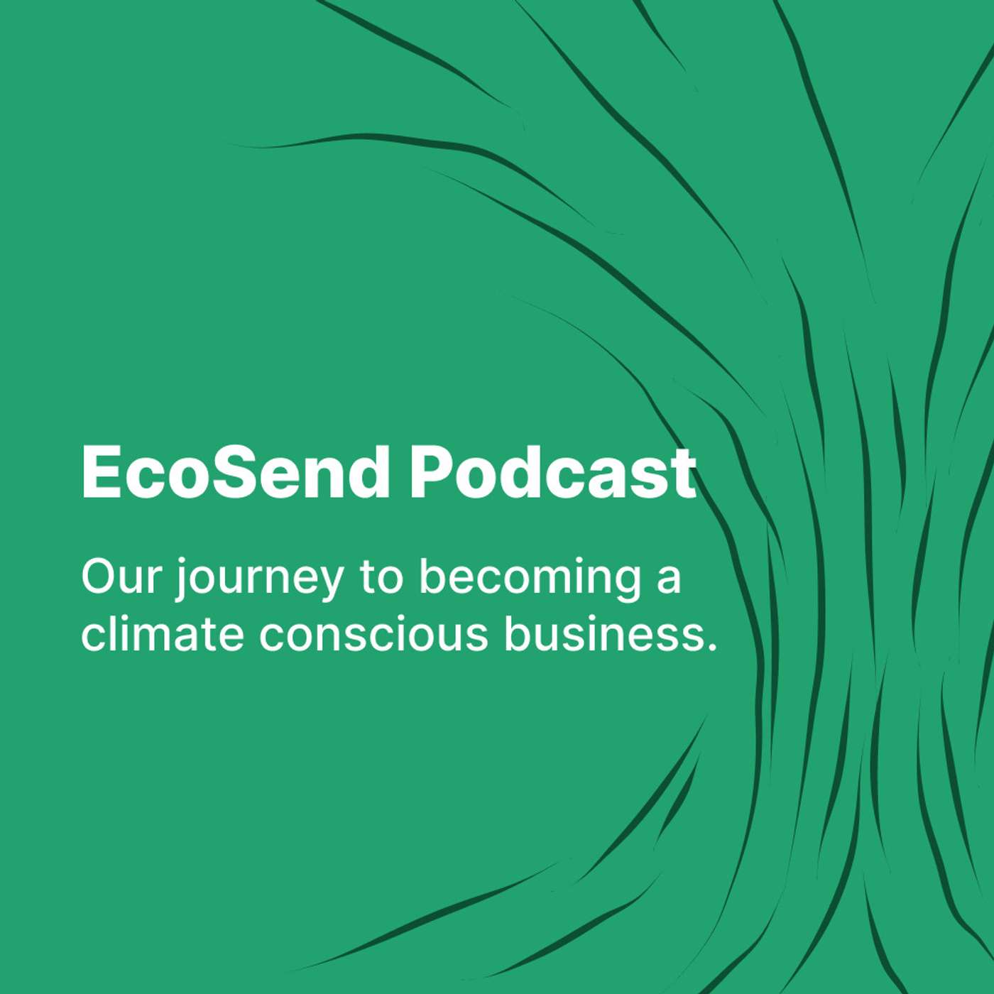 The EcoSend Podcast