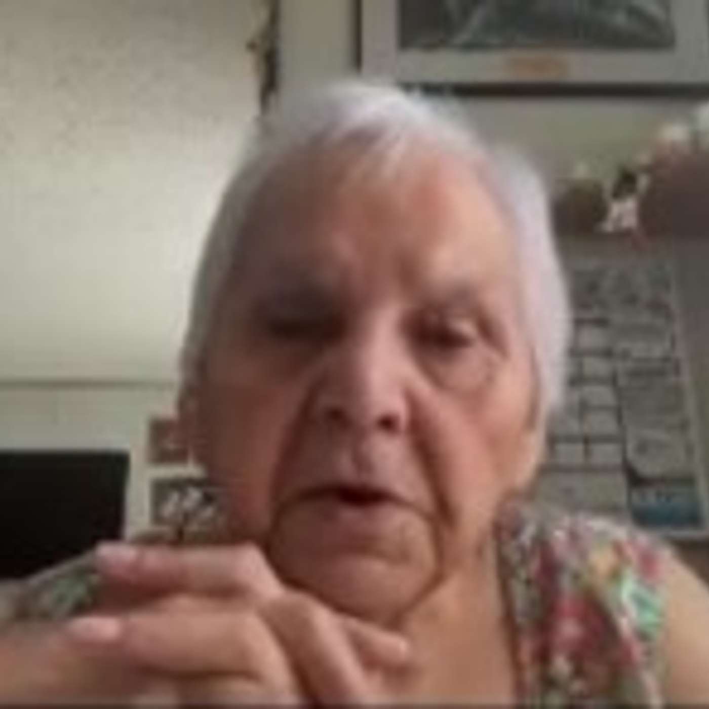 Anishinaabe Bizindamoo Makak Ep. 25 - "Ogimaawigwanebiik on animal signs and respect for animals"