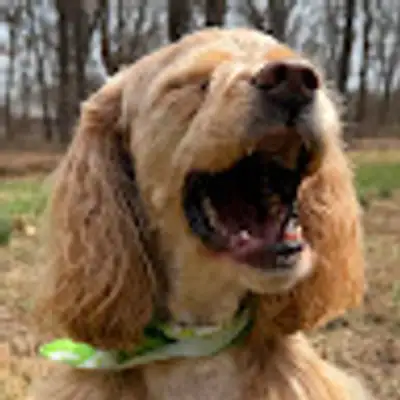 image of podcast supporter