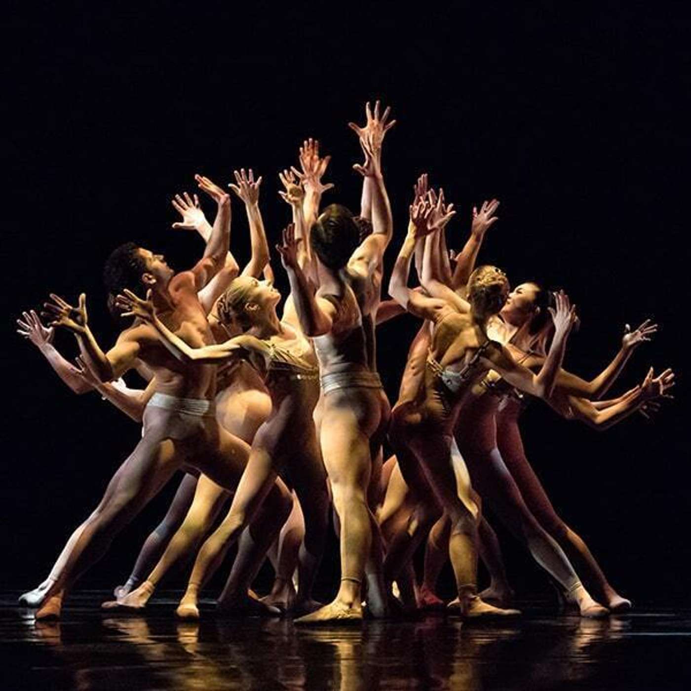 Kinetic Conversations with the Fort Wayne Ballet