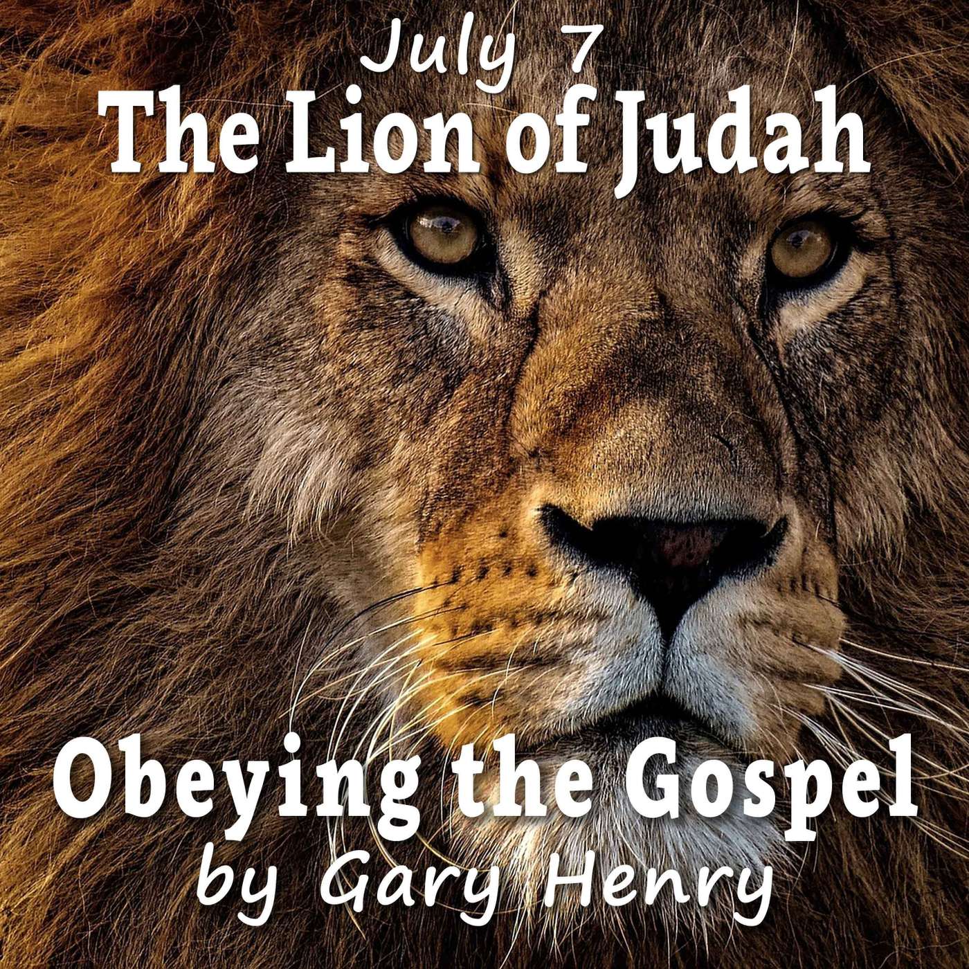 Obeying the Gospel: How (and Why) to Become a Christian