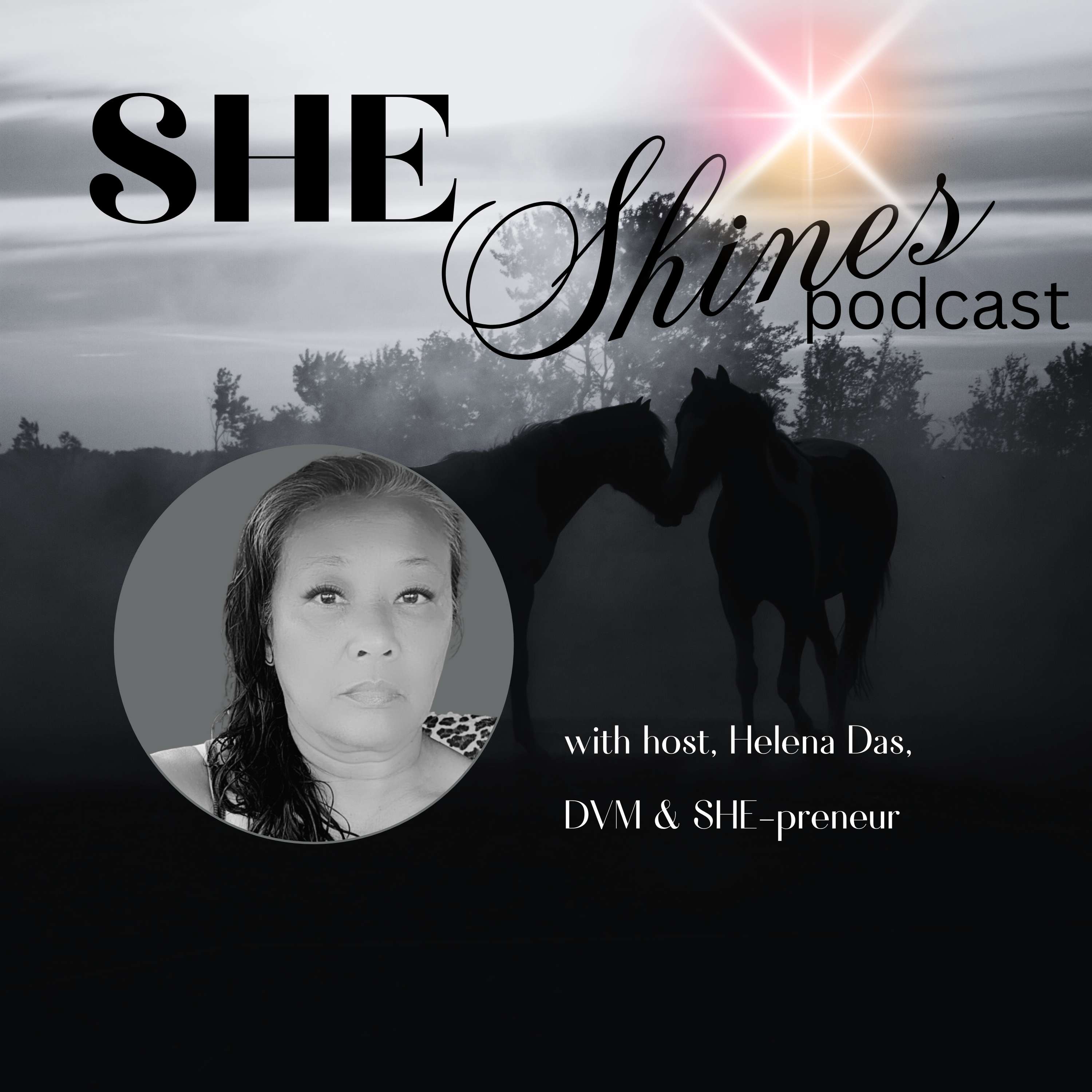 SHE Shines:  Helping \'Dark Horse-preneurs\' Unlock their Light & Get Paid to Shine