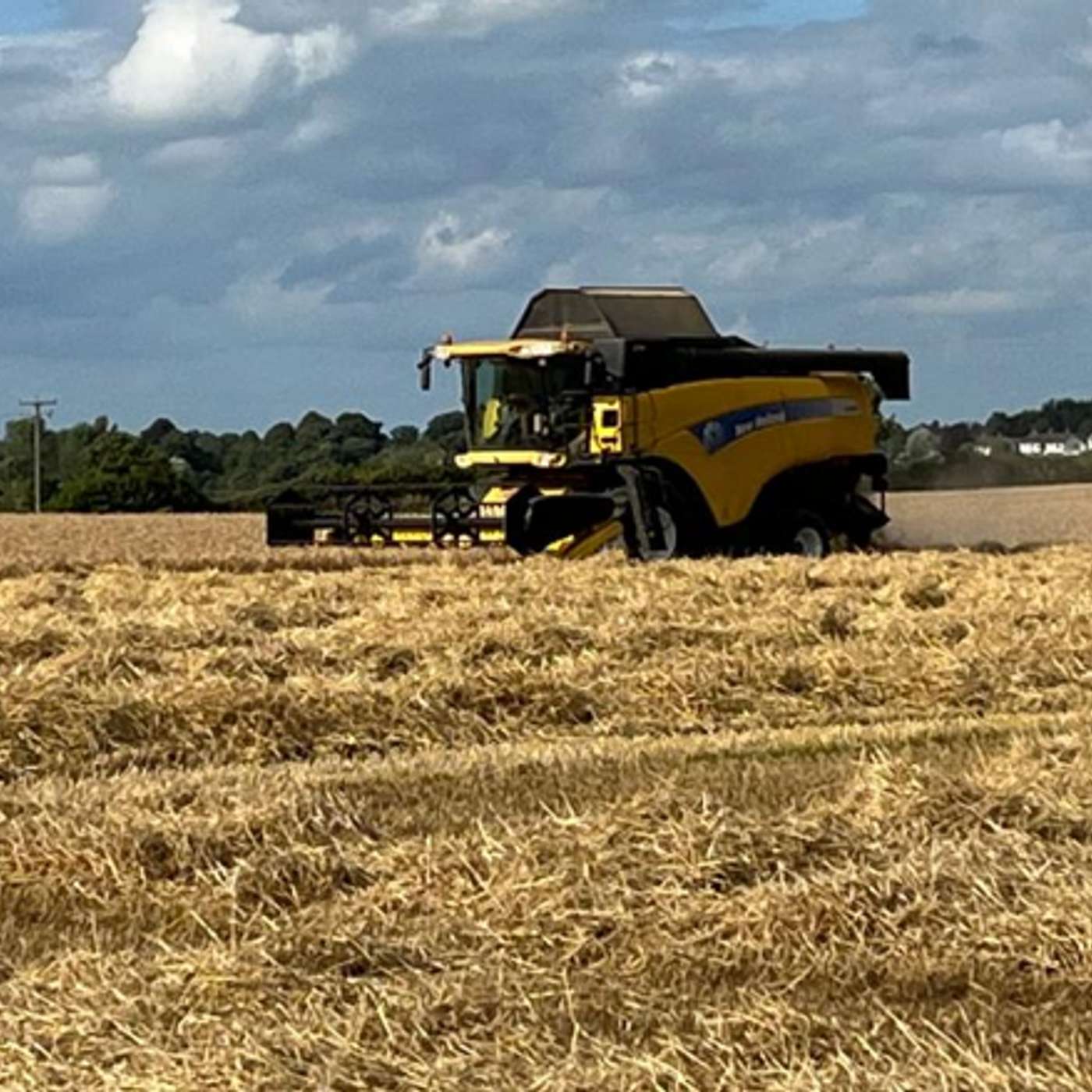 Harvest Results: How Irish Tillage Performed in 2025
