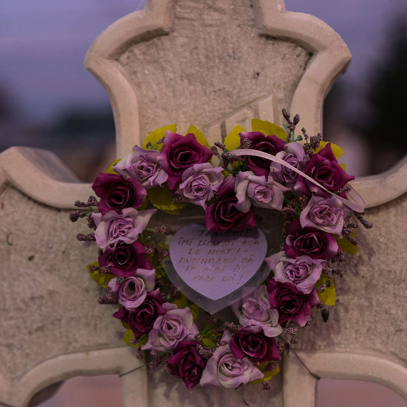 Nu ne-am făcut plan să murim anul ăsta Nu ne-am făcut plan să murim anul ăsta