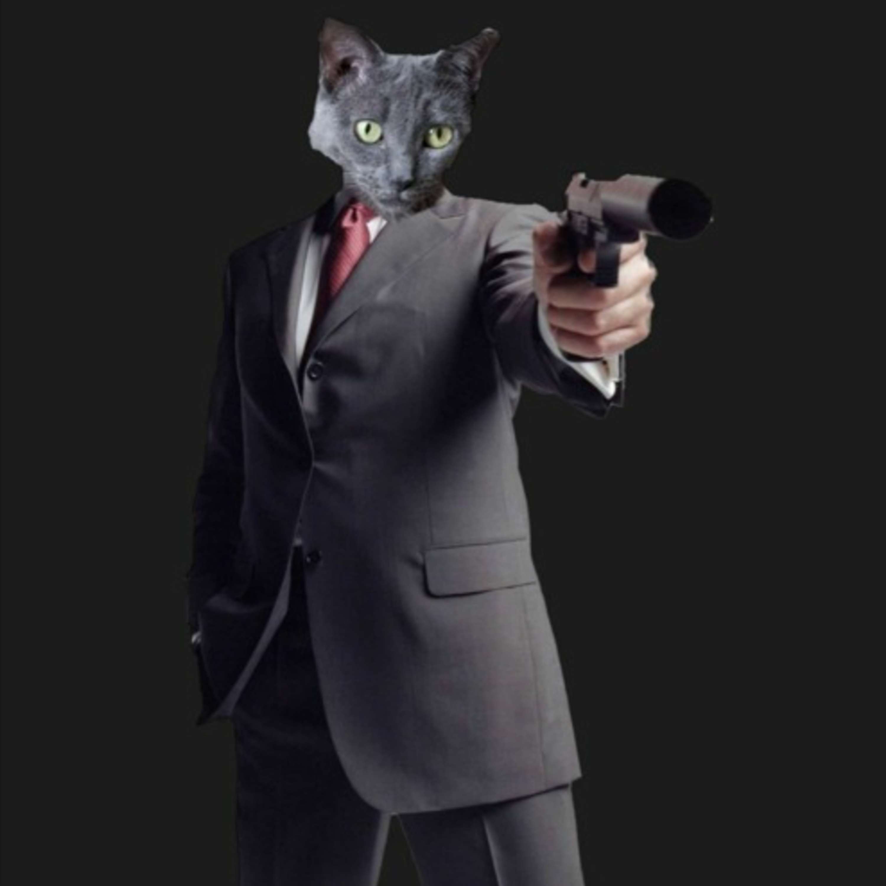 im dreaming dreaming dreaming dreaming dreaming dreaming in a dream