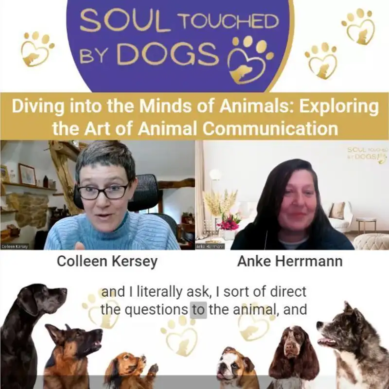 Colleen Kersey - Diving into the Minds of Animals: Exploring the Art of Animal Communication